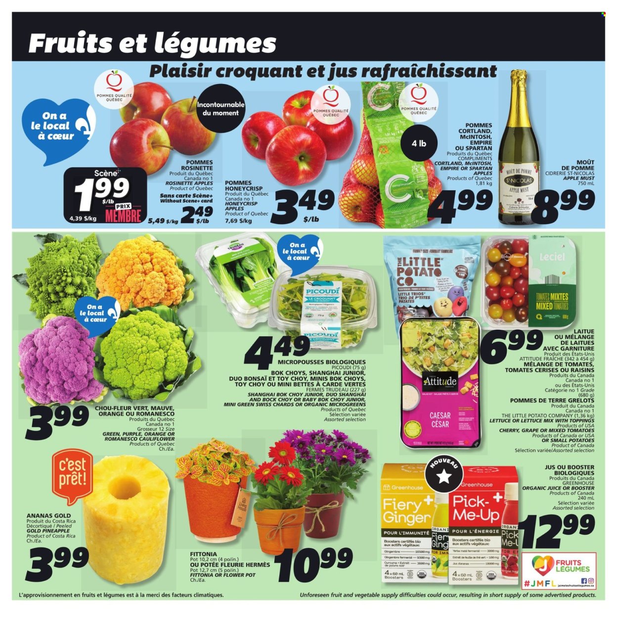 IGA flyer - October 10, 2024 - October 16, 2024. Page 5