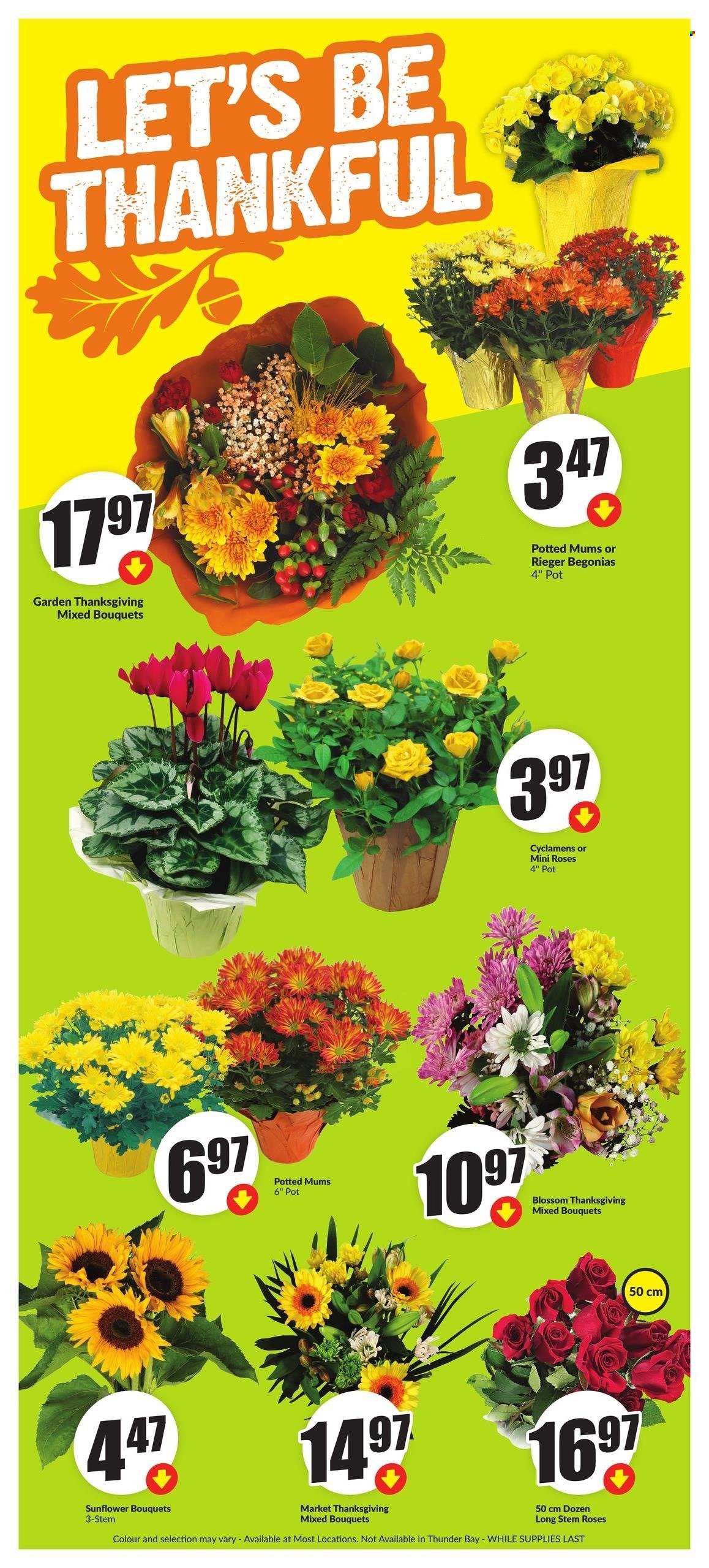 Chalo! FreshCo. flyer - October 03, 2024 - October 09, 2024. Page 6