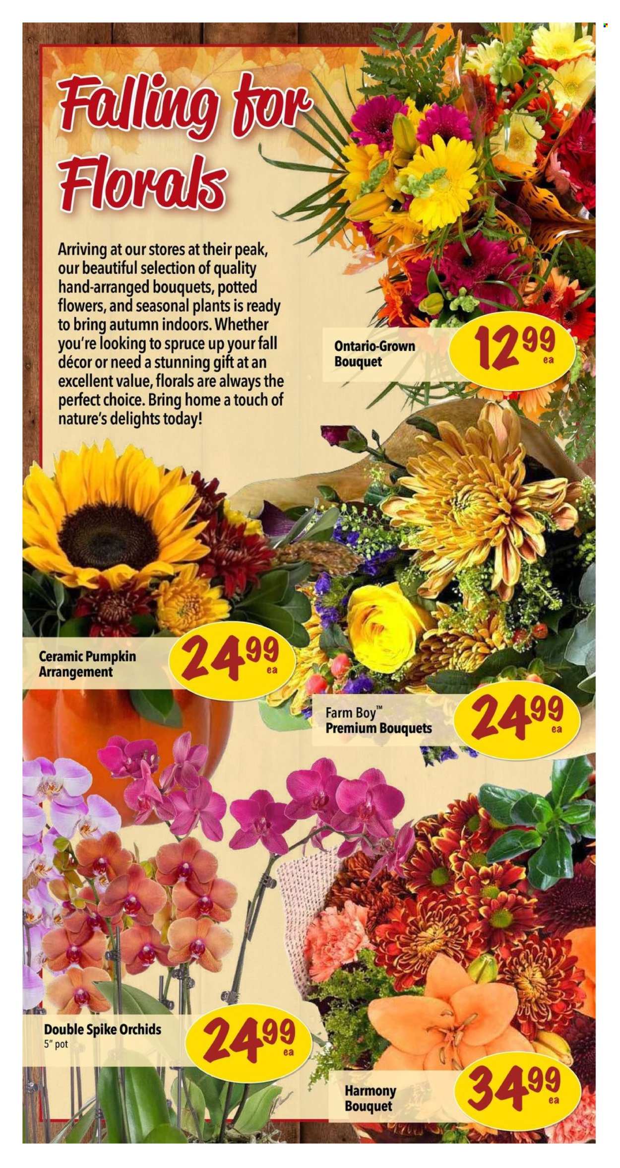 Farm Boy flyer - October 10, 2024 - October 16, 2024. Page 5