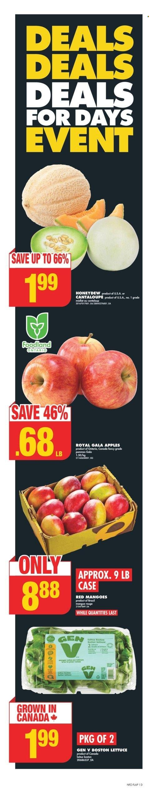No Frills flyer - October 17, 2024 - October 23, 2024. Page 1