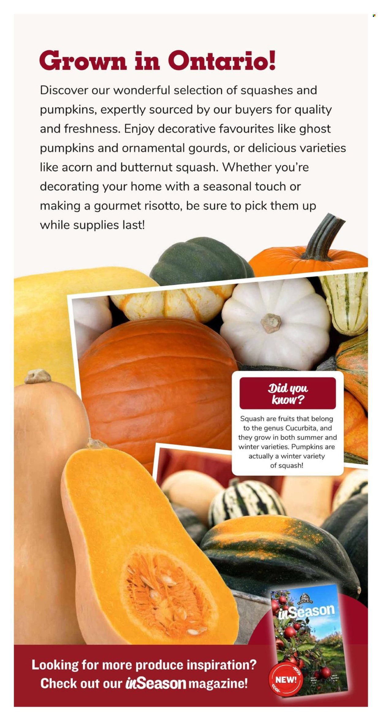 Farm Boy flyer - October 17, 2024 - October 23, 2024. Page 5