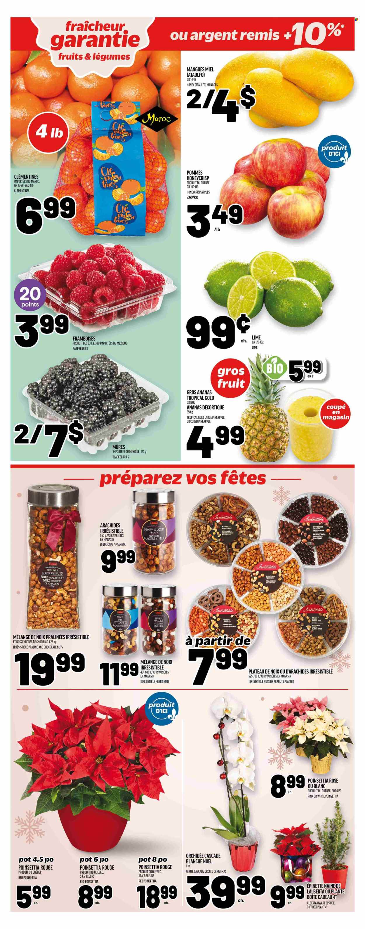 Metro flyer - November 21, 2024 - November 27, 2024. Page 6