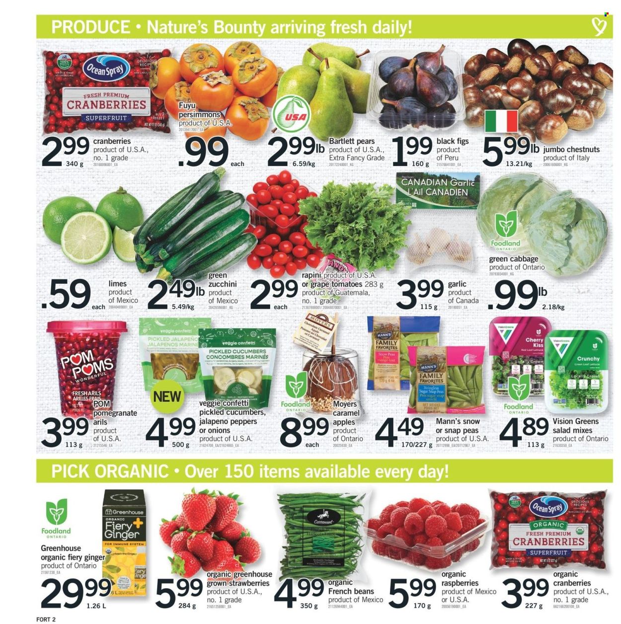 Fortinos flyer - November 28, 2024 - December 04, 2024. Page 3