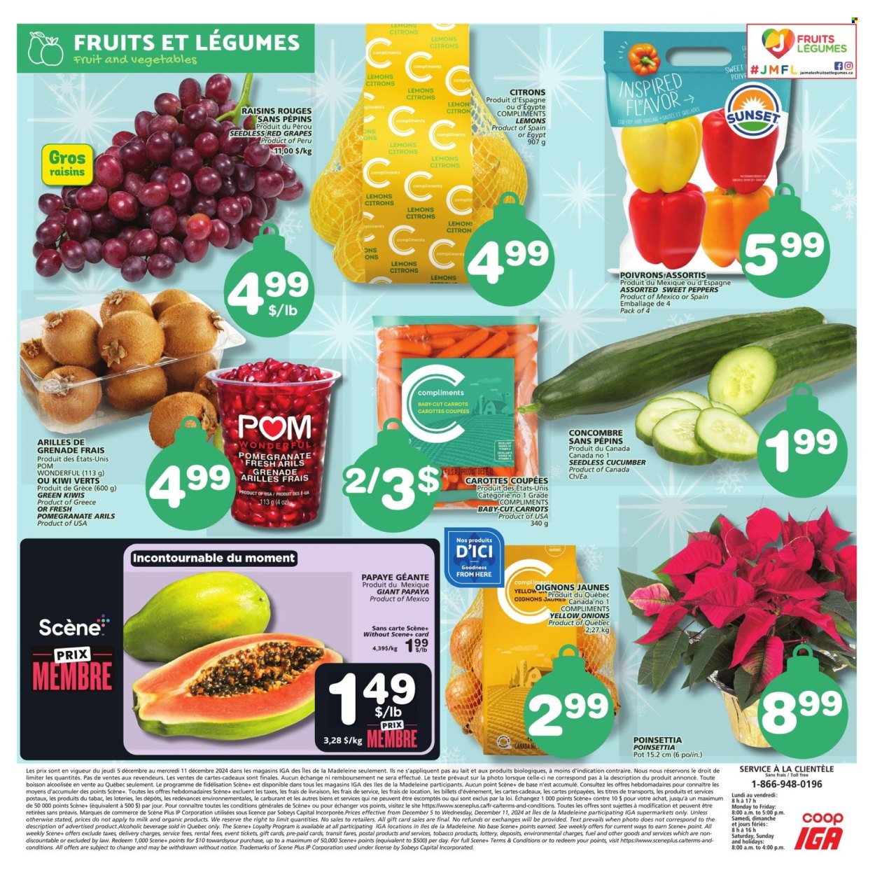 IGA flyer - December 05, 2024 - December 11, 2024. Page 7