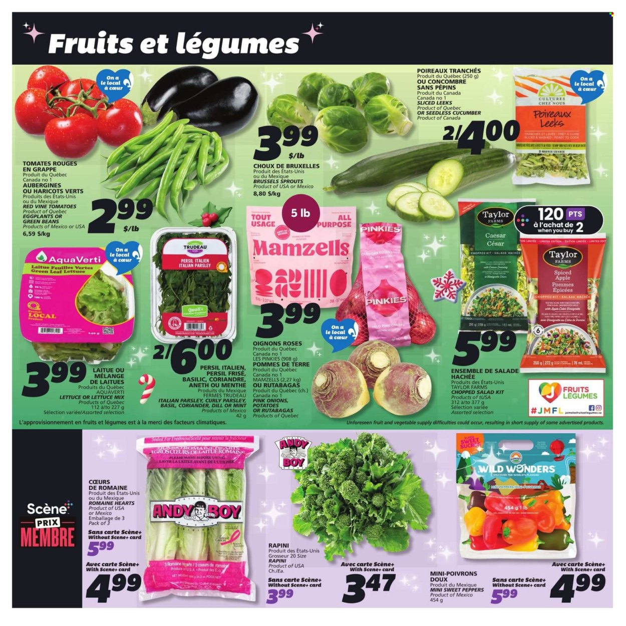 IGA flyer - December 12, 2024 - December 18, 2024. Page 10