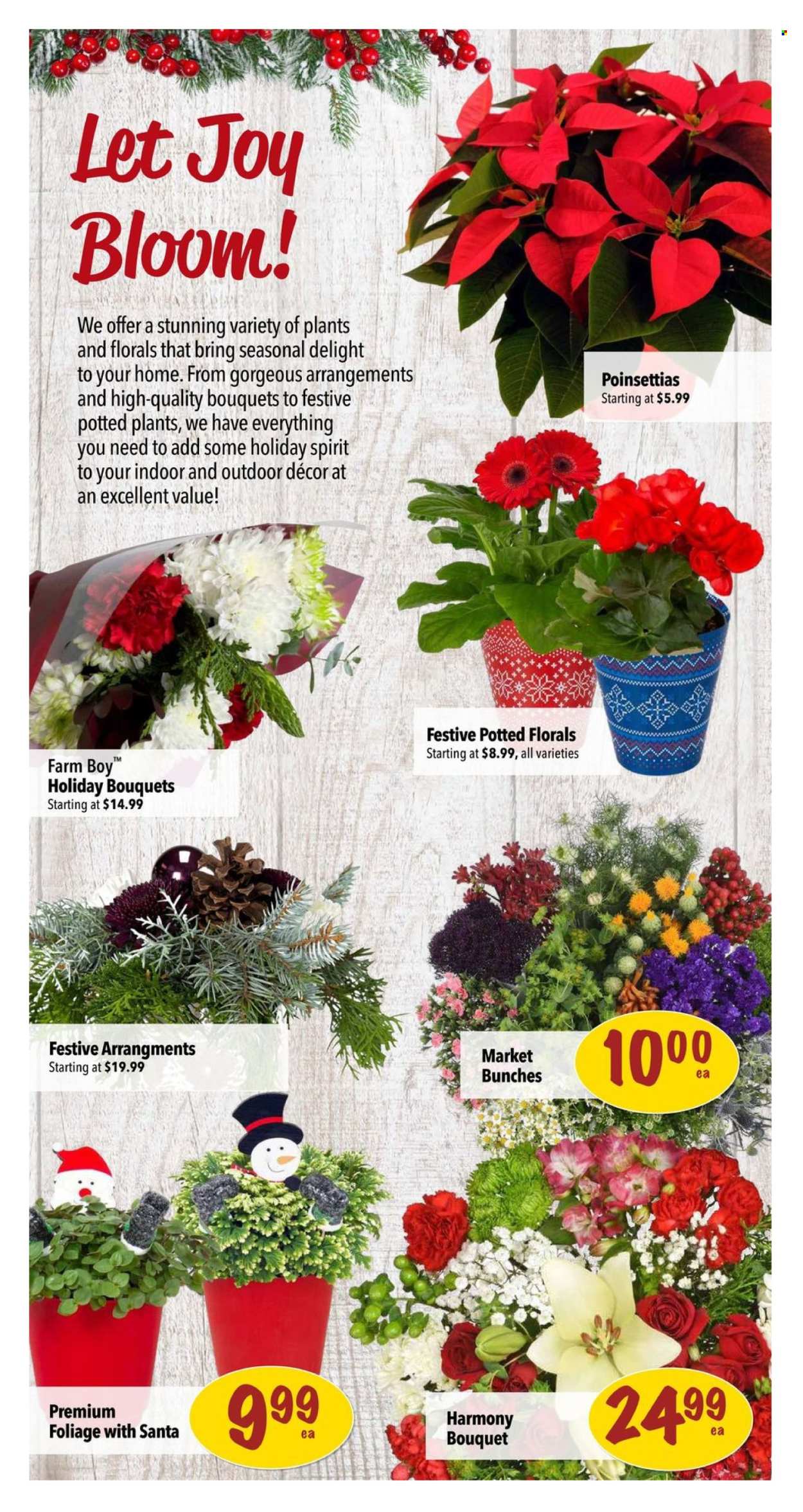 Farm Boy flyer - December 12, 2024 - December 18, 2024. Page 10