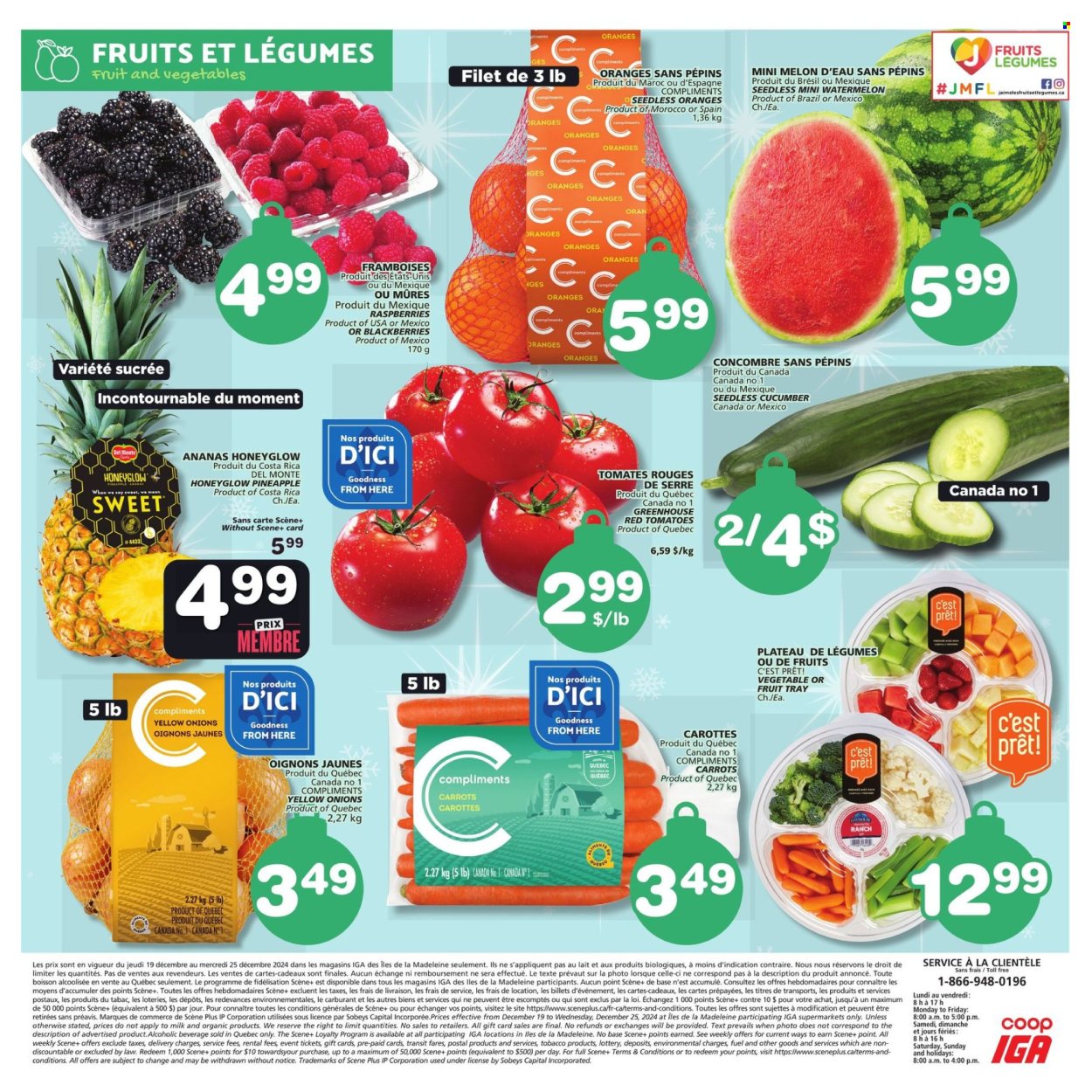 IGA flyer - December 19, 2024 - December 25, 2024. Page 4
