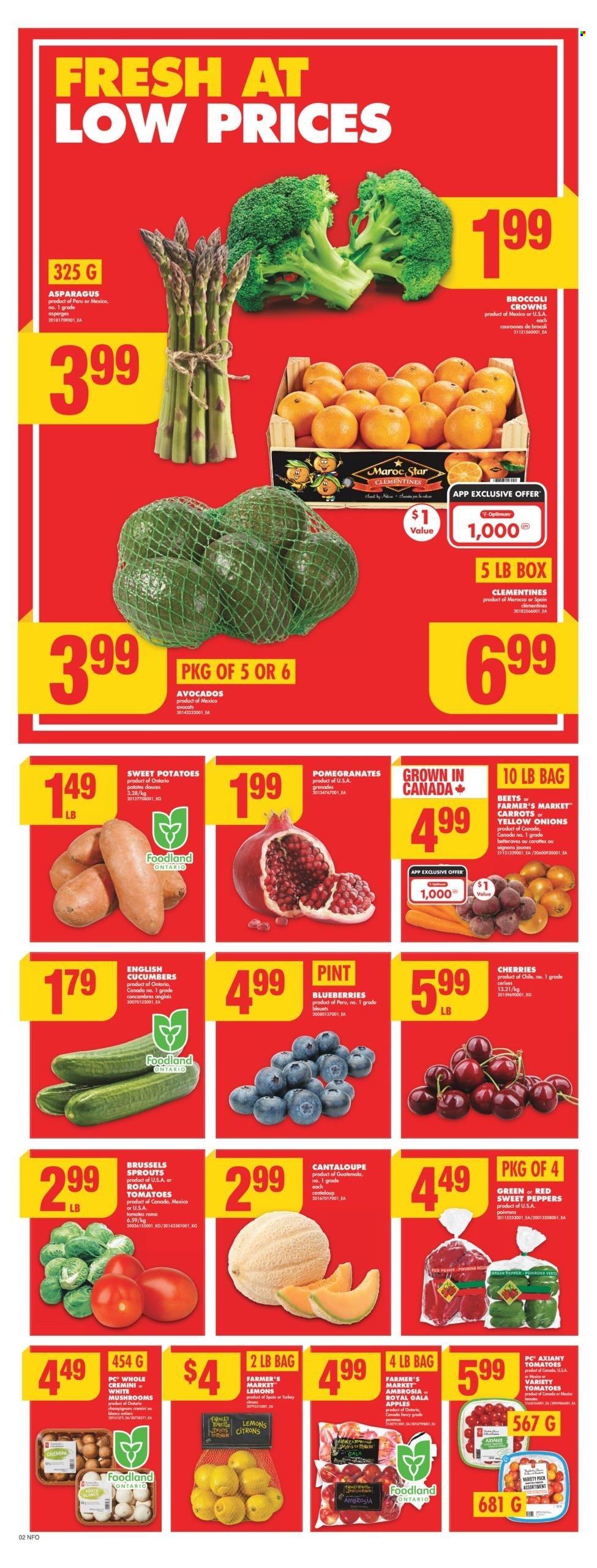 No Frills flyer - December 19, 2024 - December 25, 2024. Page 4