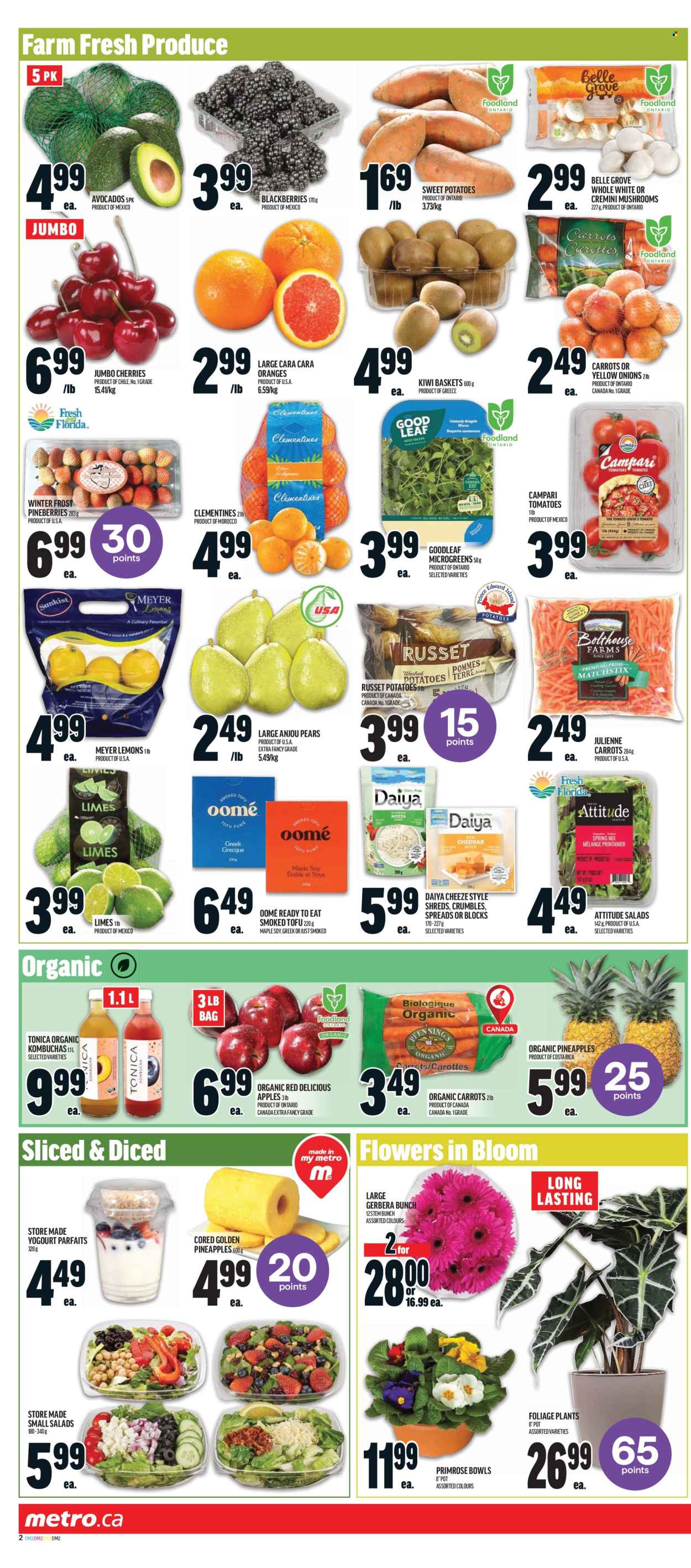 Metro flyer - January 02, 2025 - January 08, 2025. Page 4