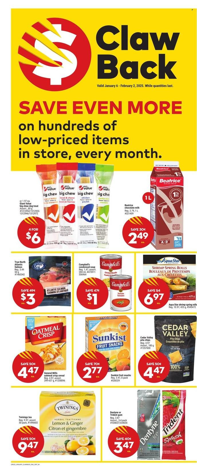 Giant Tiger flyer - January 08, 2025 - January 14, 2025. Page 5