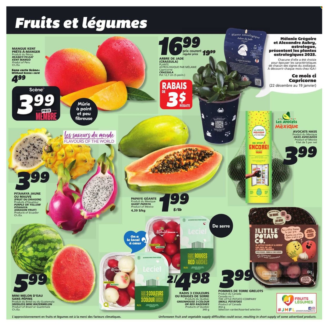 IGA flyer - January 09, 2025 - January 15, 2025. Page 5