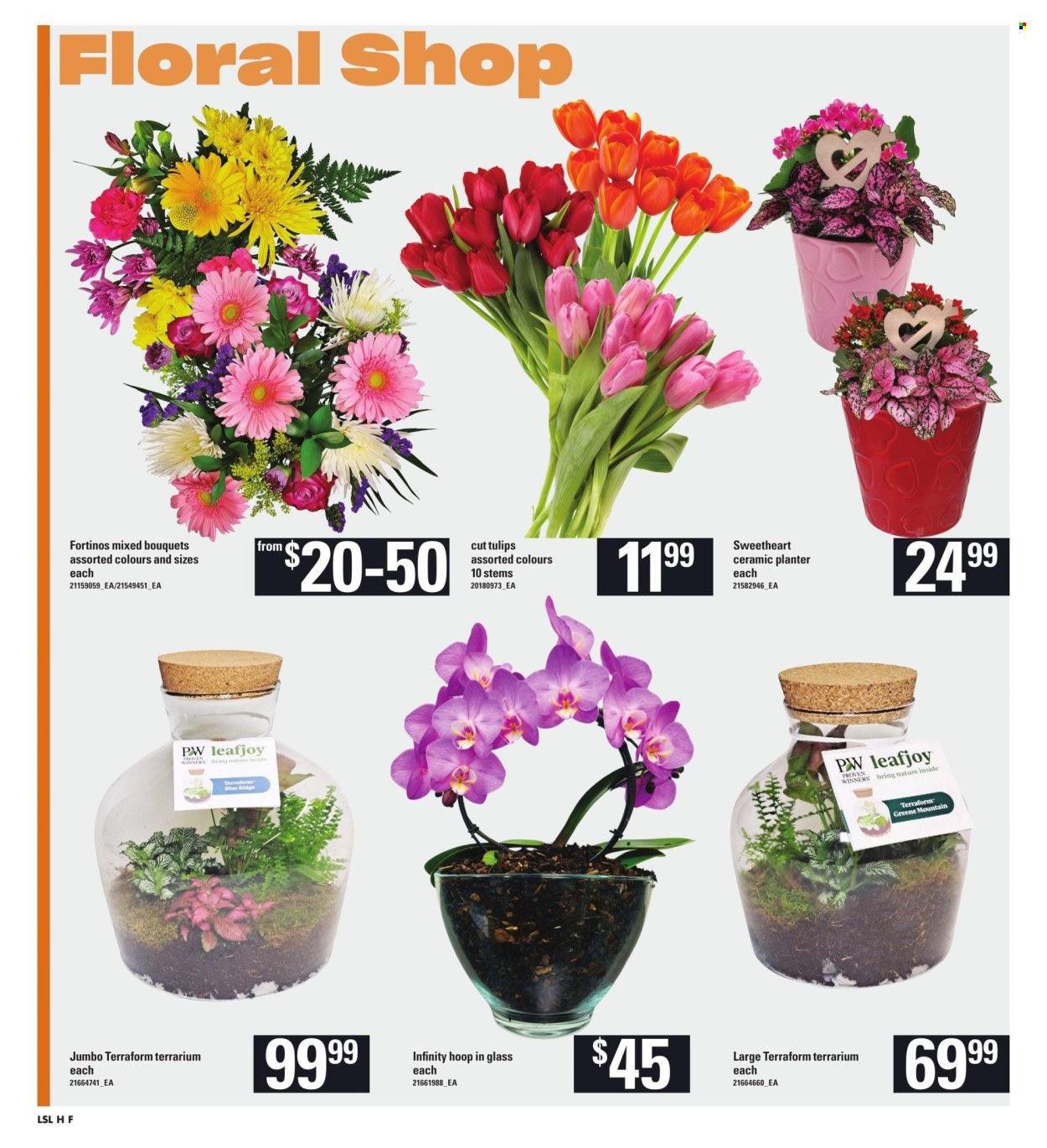 Loblaws flyer - January 16, 2025 - January 22, 2025. Page 9