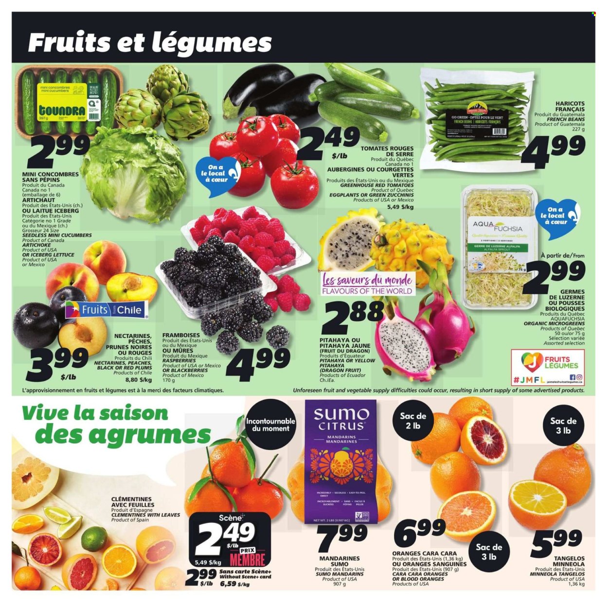 IGA flyer - January 23, 2025 - January 29, 2025. Page 4
