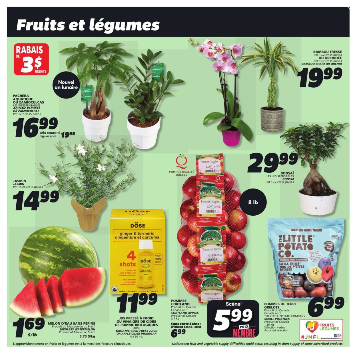 IGA flyer - January 23, 2025 - January 29, 2025. Page 5