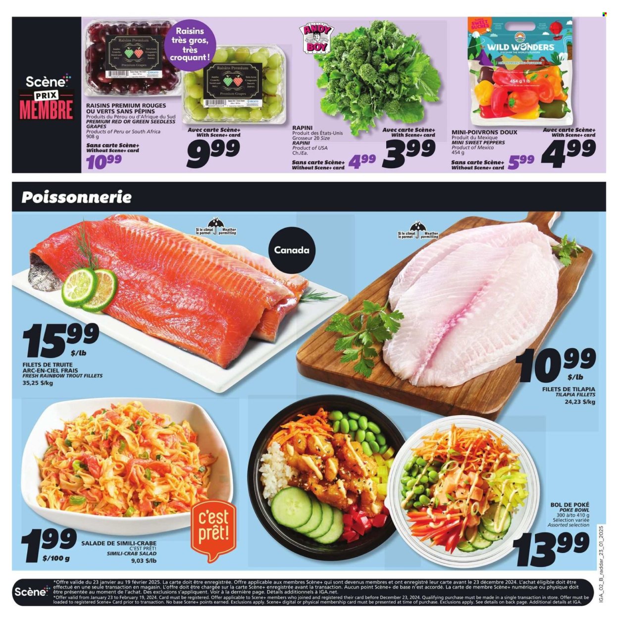 IGA flyer - January 23, 2025 - January 29, 2025. Page 6