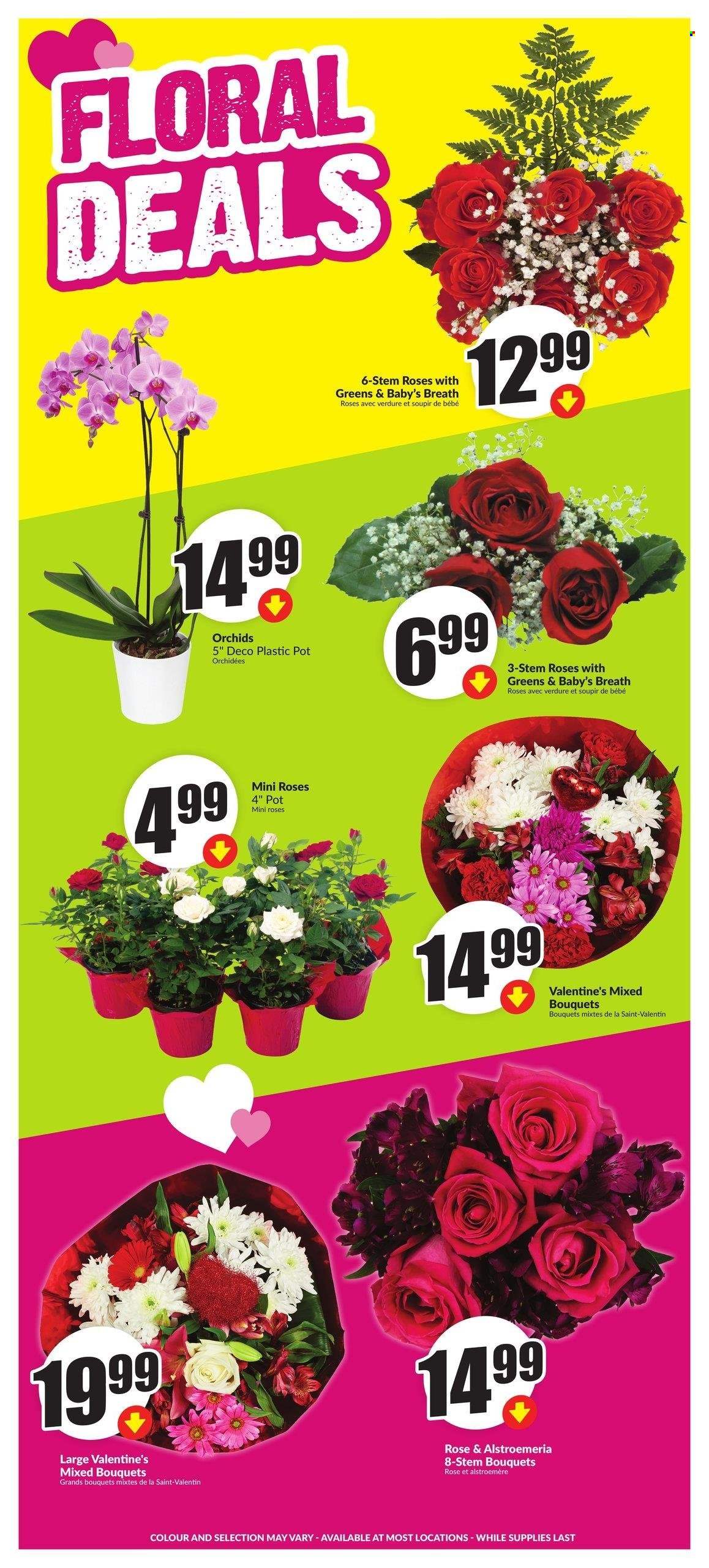 FreshCo. flyer - February 06, 2025 - February 12, 2025. Page 5