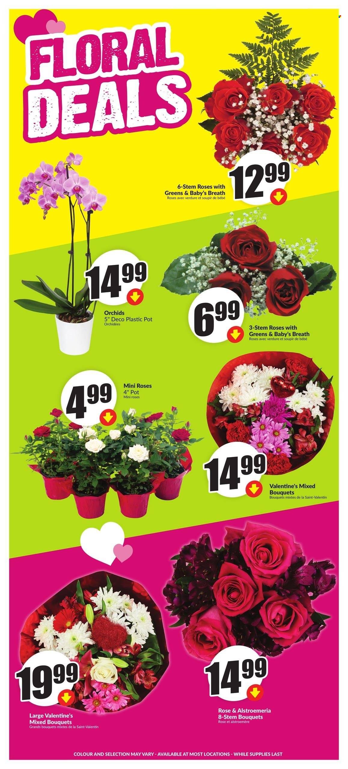 FreshCo. flyer - February 06, 2025 - February 12, 2025. Page 6