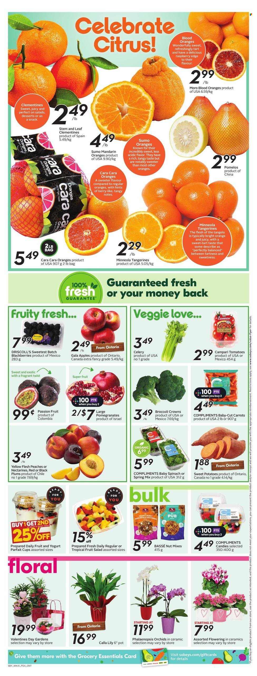Sobeys flyer - February 06, 2025 - February 12, 2025. Page 7