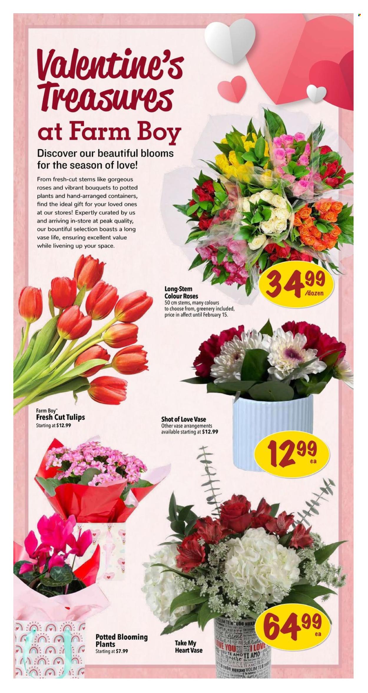 Farm Boy flyer - February 06, 2025 - February 12, 2025. Page 5