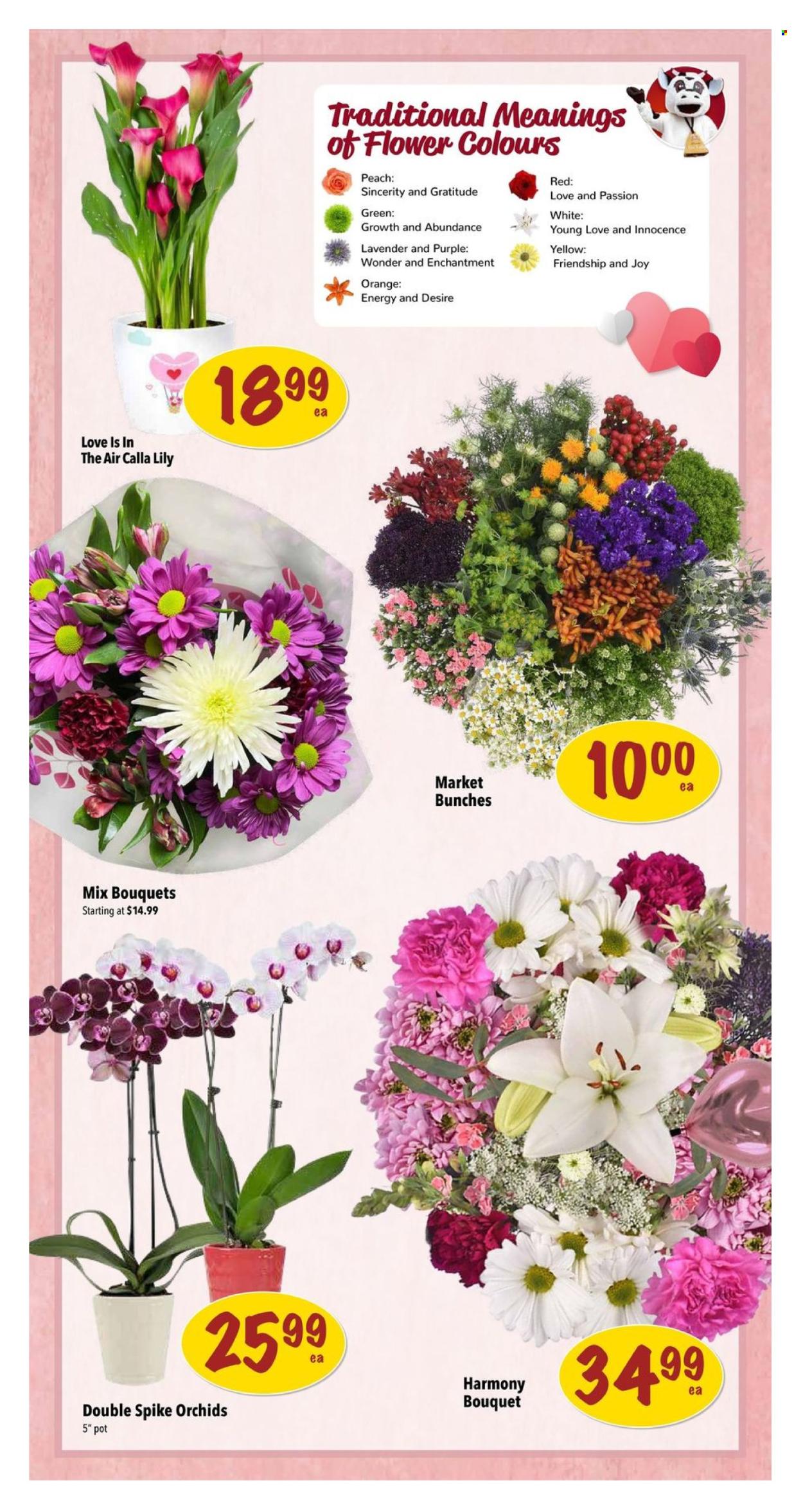 Farm Boy flyer - February 06, 2025 - February 12, 2025. Page 6