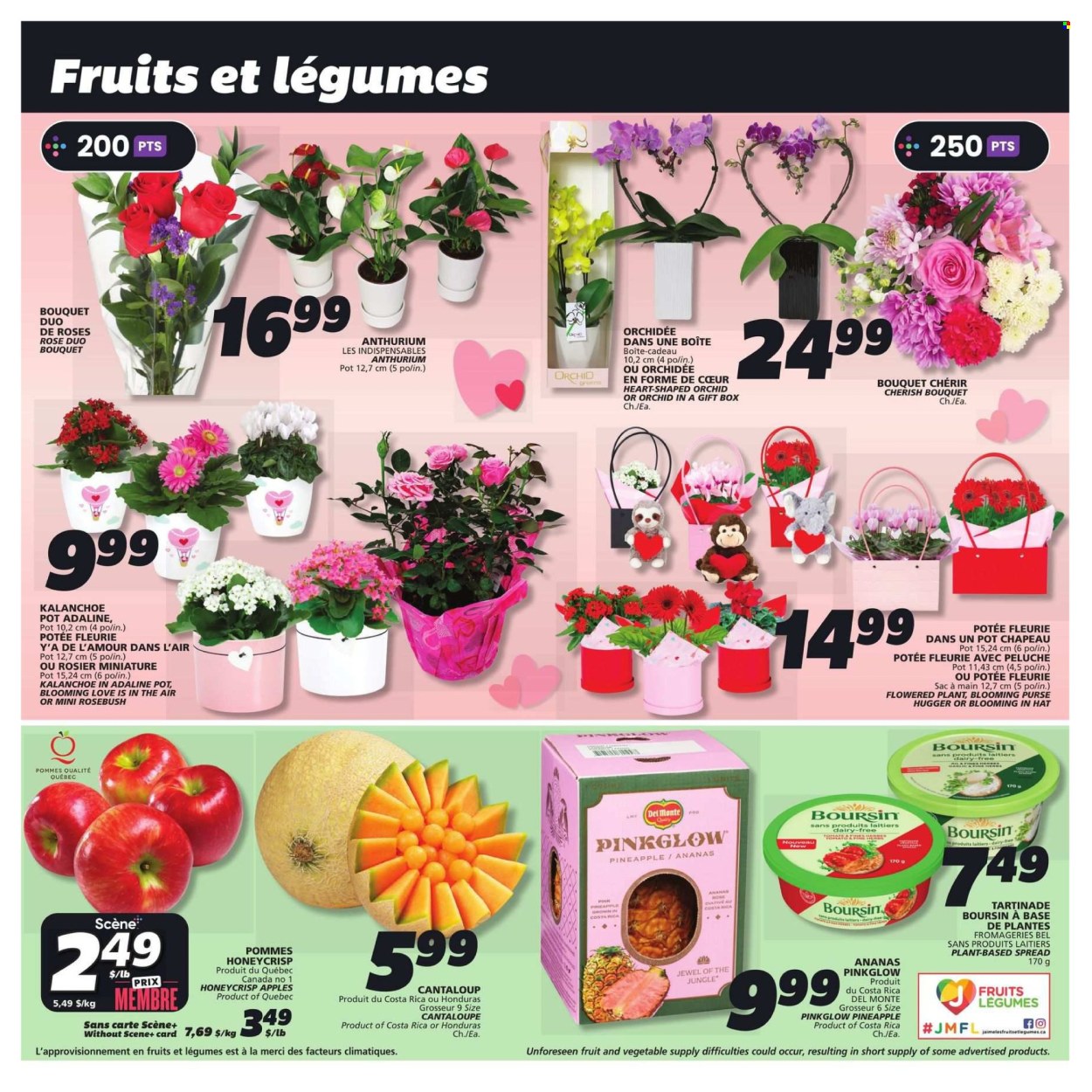 IGA flyer - February 13, 2025 - February 19, 2025. Page 5
