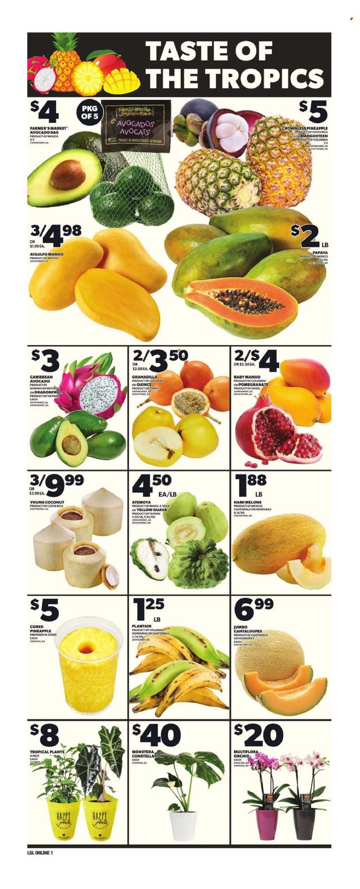 Loblaws flyer - February 20, 2025 - February 26, 2025. Page 6