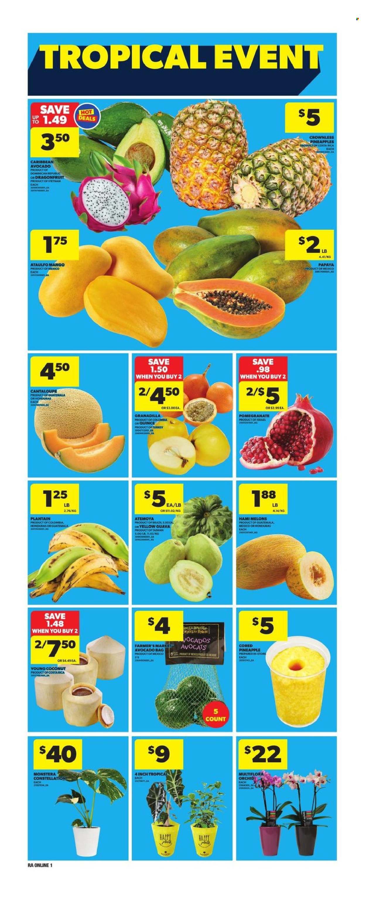 Atlantic Superstore flyer - February 20, 2025 - February 26, 2025. Page 5