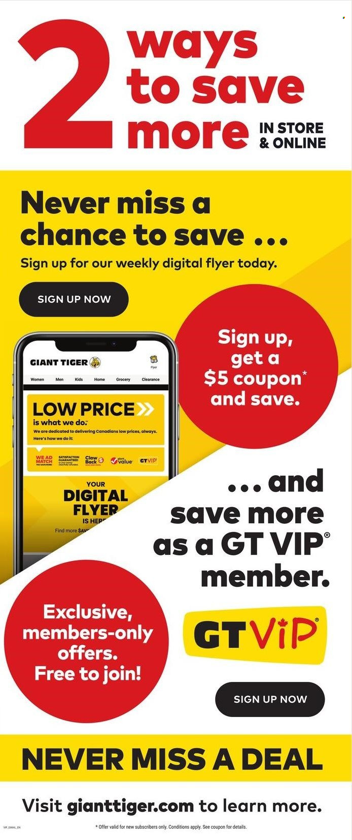 Giant Tiger flyer - February 26, 2025 - March 04, 2025. Page 17