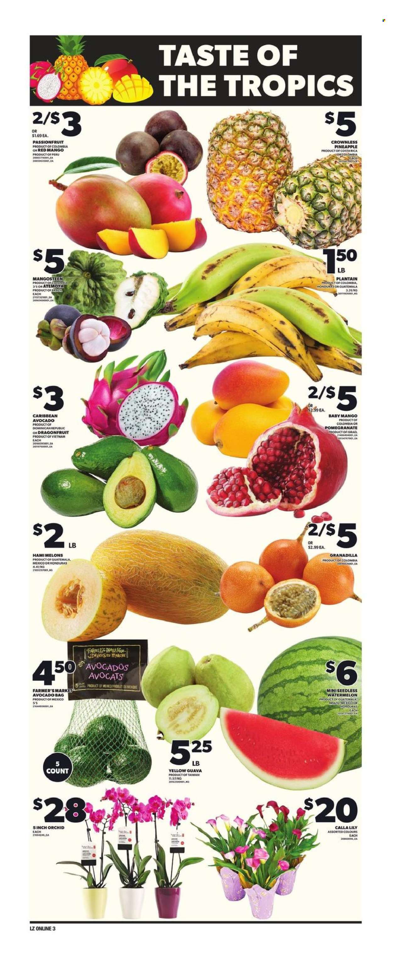 Loblaws flyer - March 06, 2025 - March 12, 2025. Page 7