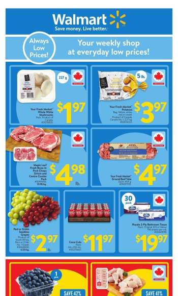 Circulaire Walmart - 06 Mars 2025 - 12 Mars 2025.