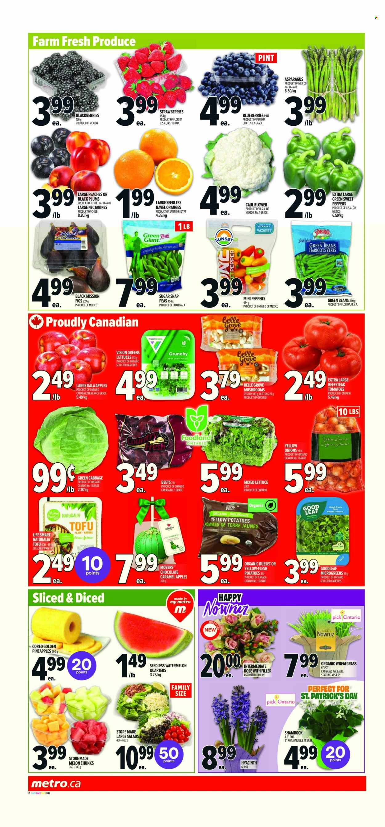Metro flyer - March 13, 2025 - March 19, 2025. Page 4