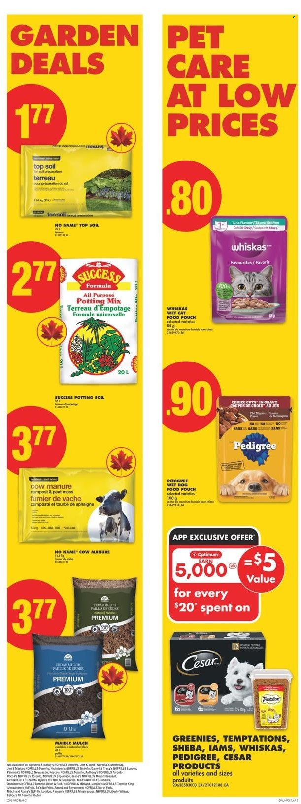 No Frills flyer - April 03, 2025 - April 09, 2025. Page 16