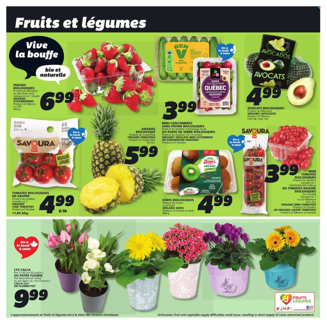 IGA flyer - April 10, 2025 - April 16, 2025. Page 5
