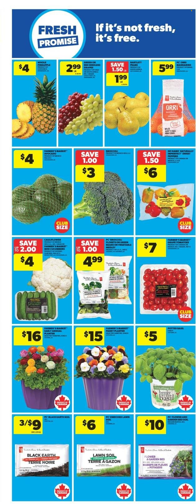 Real Canadian Superstore flyer - April 10, 2025 - April 16, 2025. Page 9