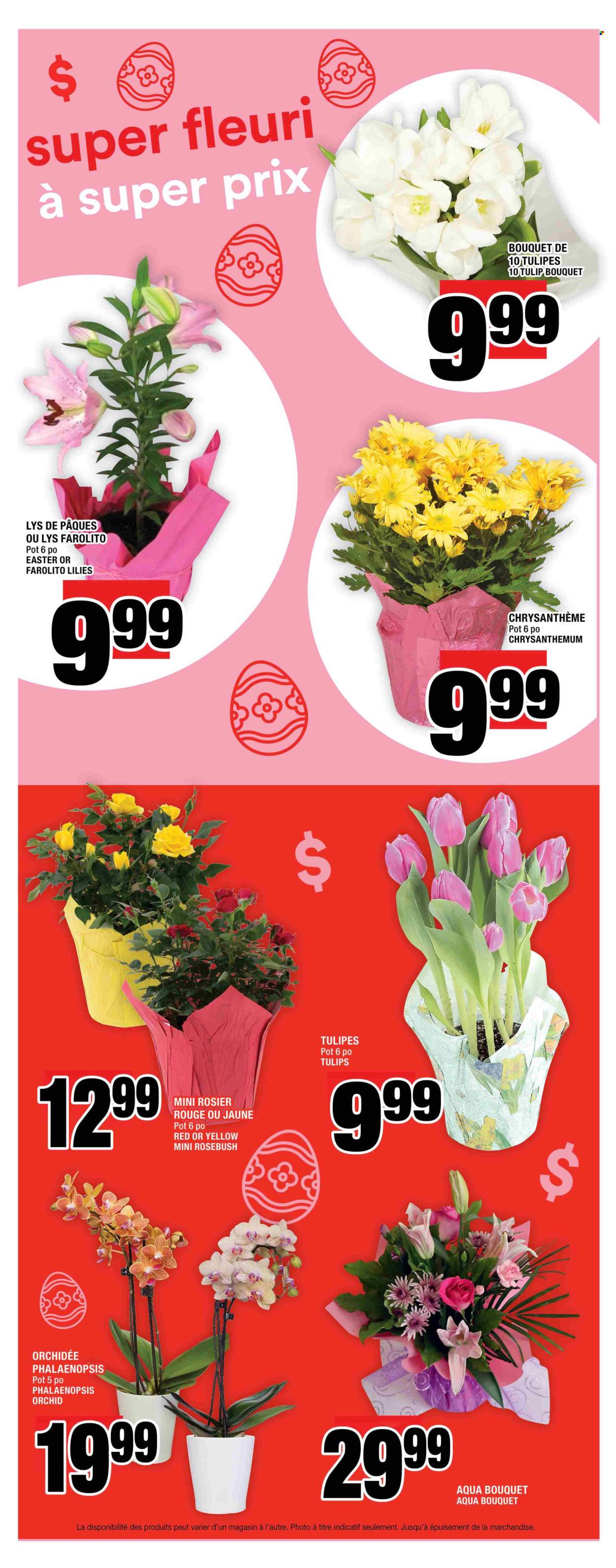Super C flyer - April 17, 2025 - April 23, 2025. Page 15