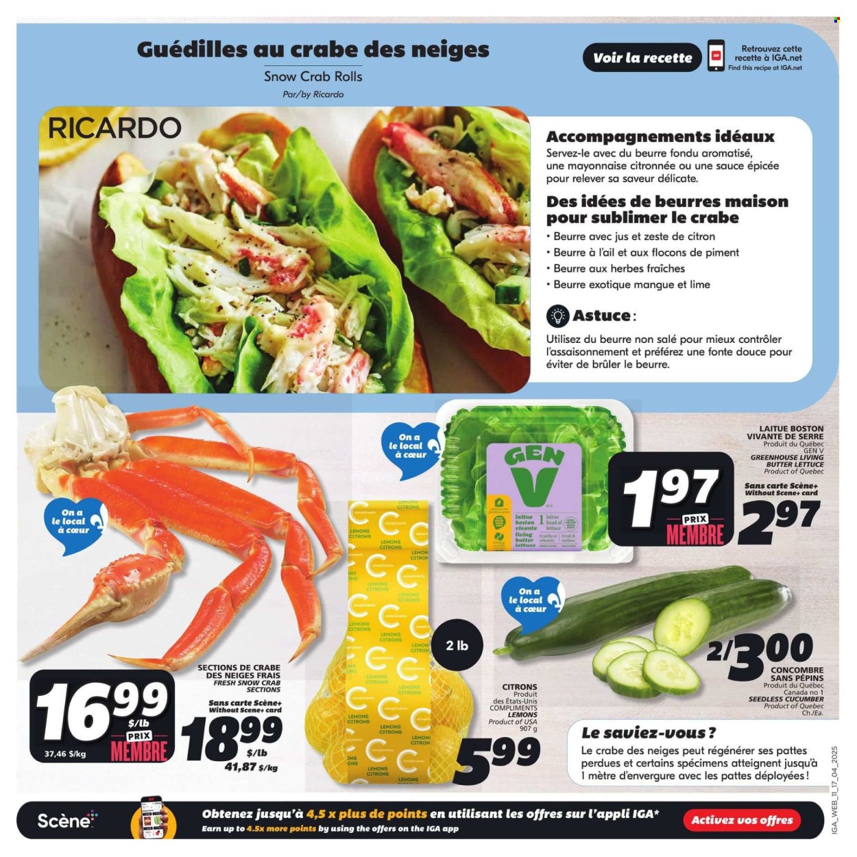 IGA flyer - April 17, 2025 - April 23, 2025. Page 16