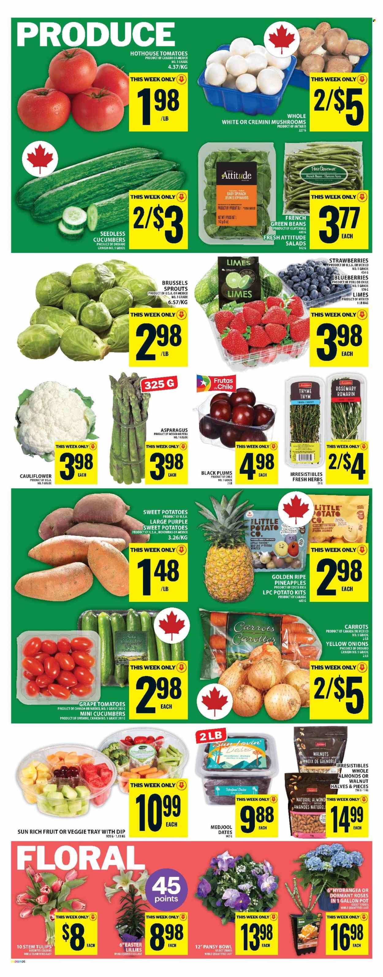 Food Basics flyer - April 17, 2025 - April 23, 2025. Page 10