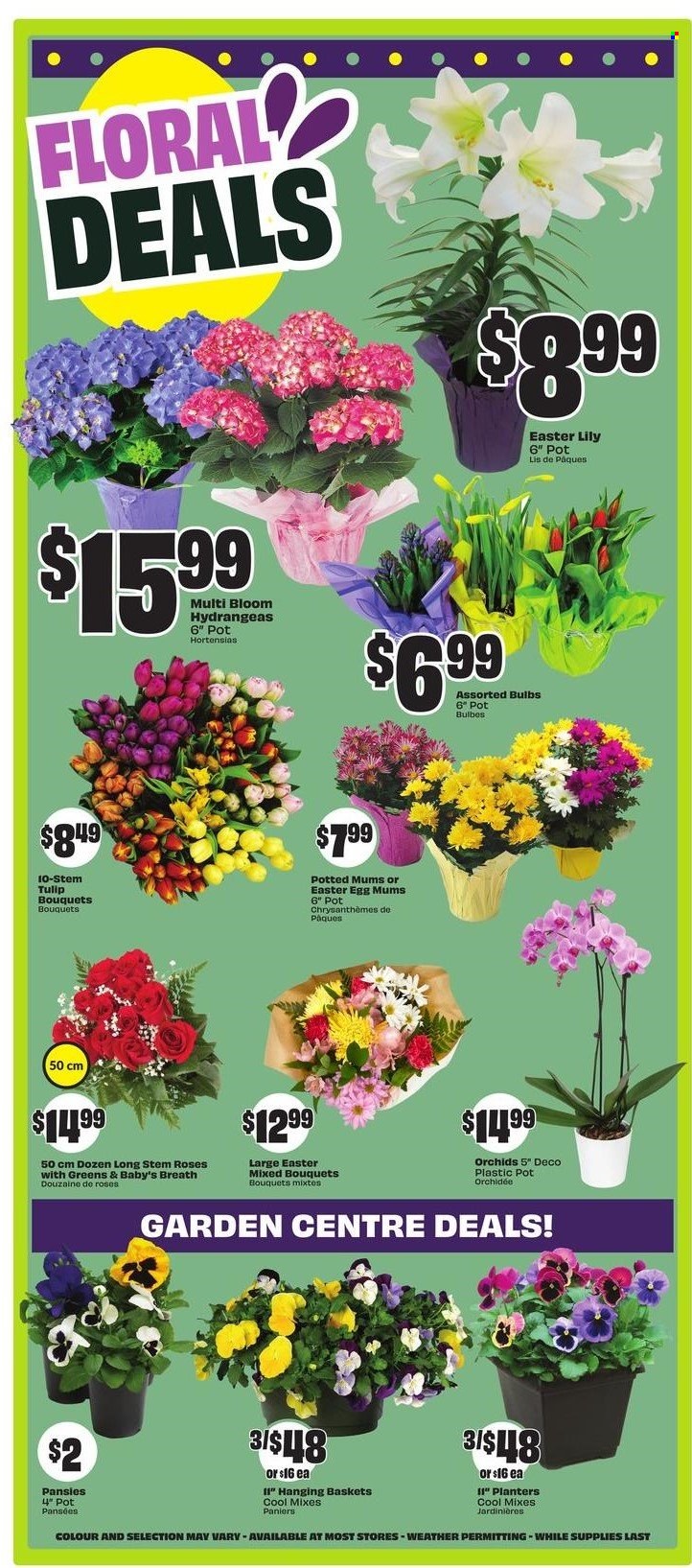 FreshCo. flyer - April 17, 2025 - April 23, 2025. Page 6
