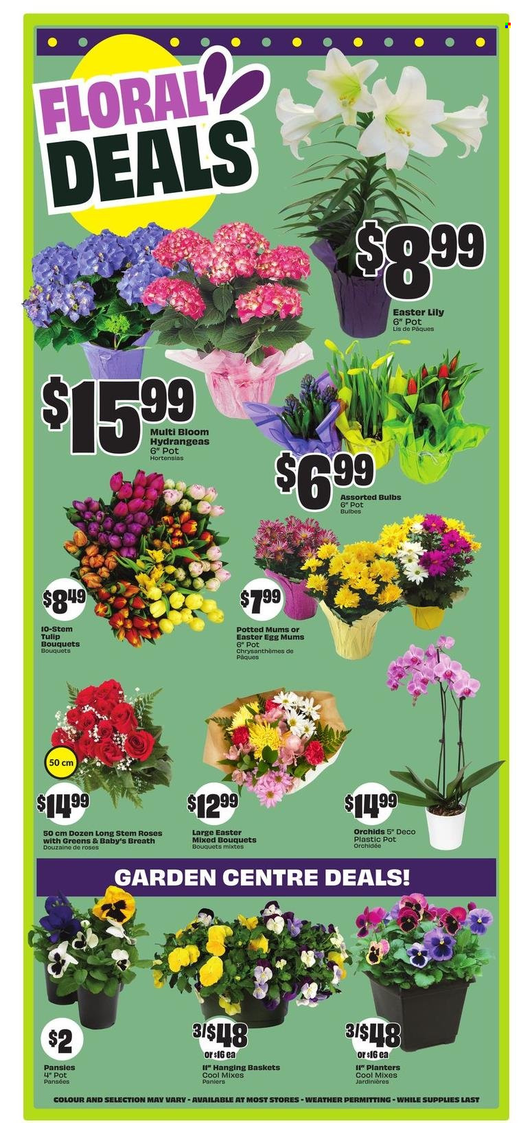 Chalo! FreshCo. flyer - April 17, 2025 - April 23, 2025. Page 7