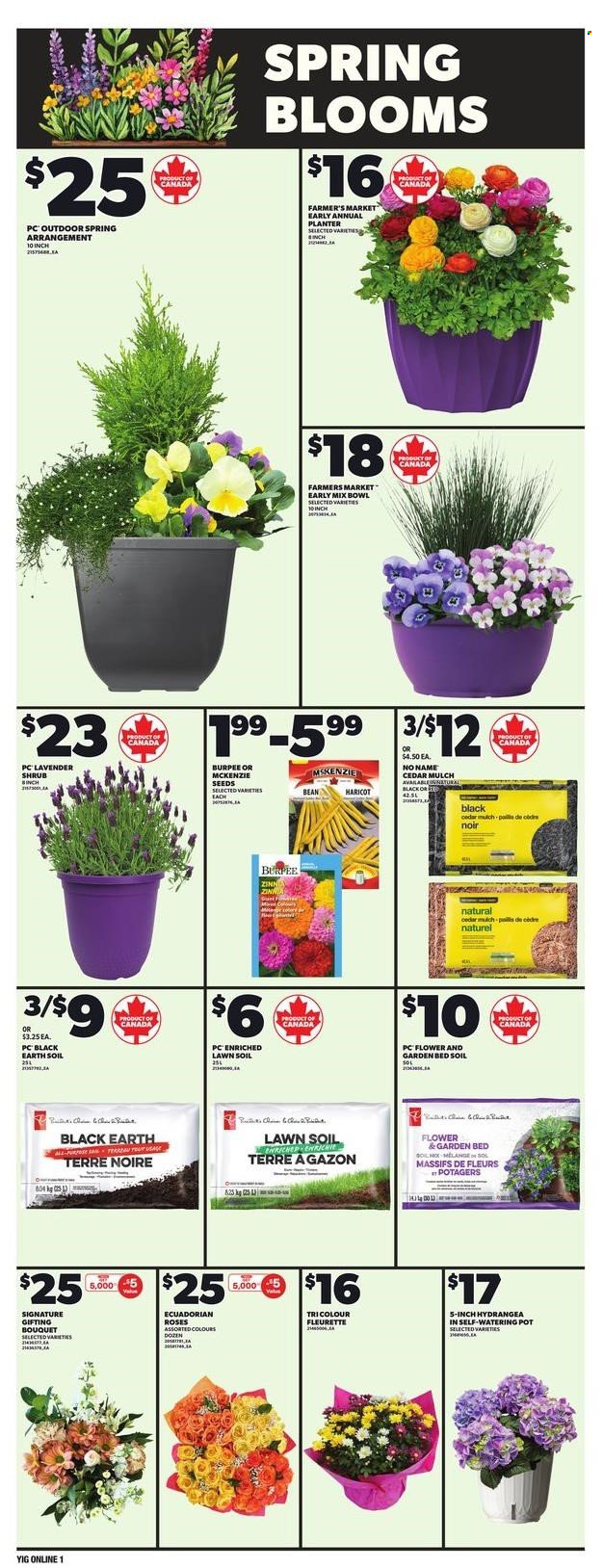 Independent flyer - April 17, 2025 - April 23, 2025. Page 5