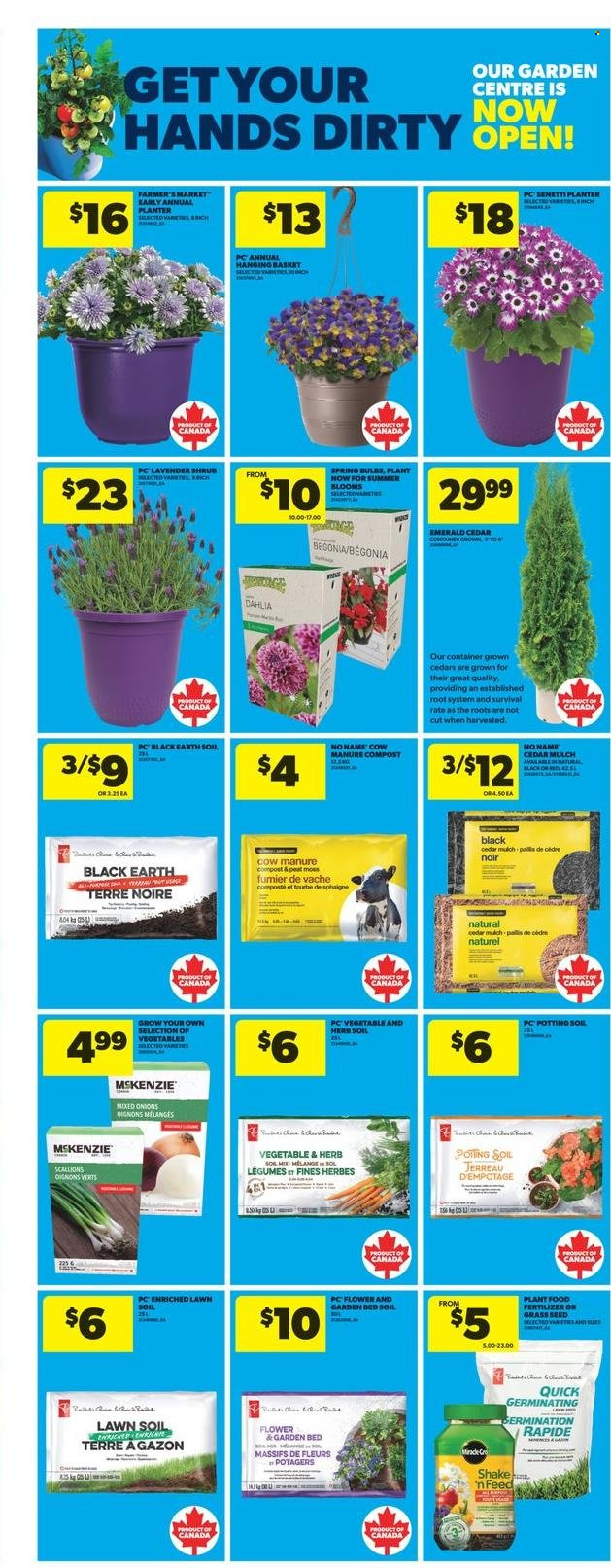Real Canadian Superstore flyer - April 24, 2025 - April 30, 2025. Page 10