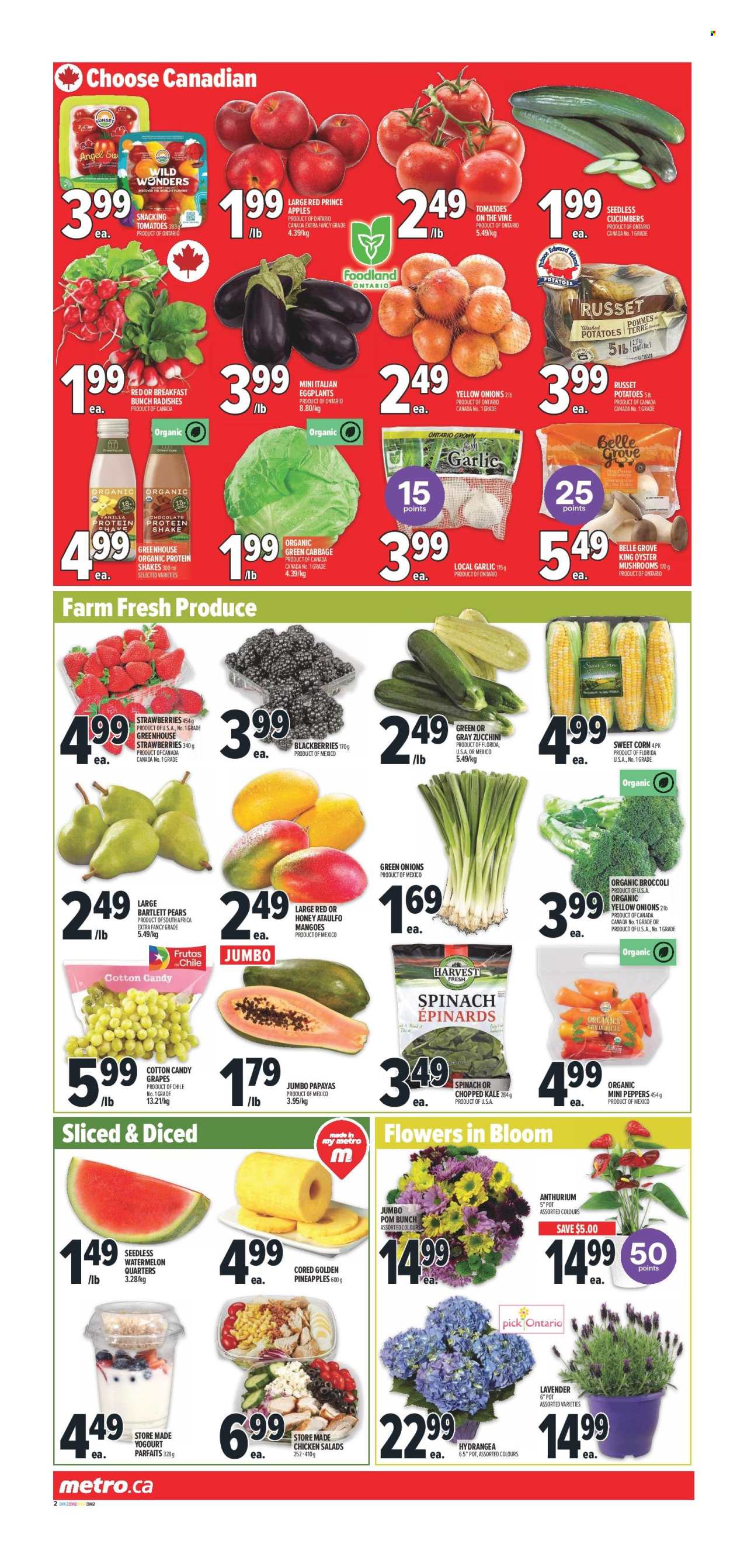 Metro flyer - April 24, 2025 - April 30, 2025. Page 4