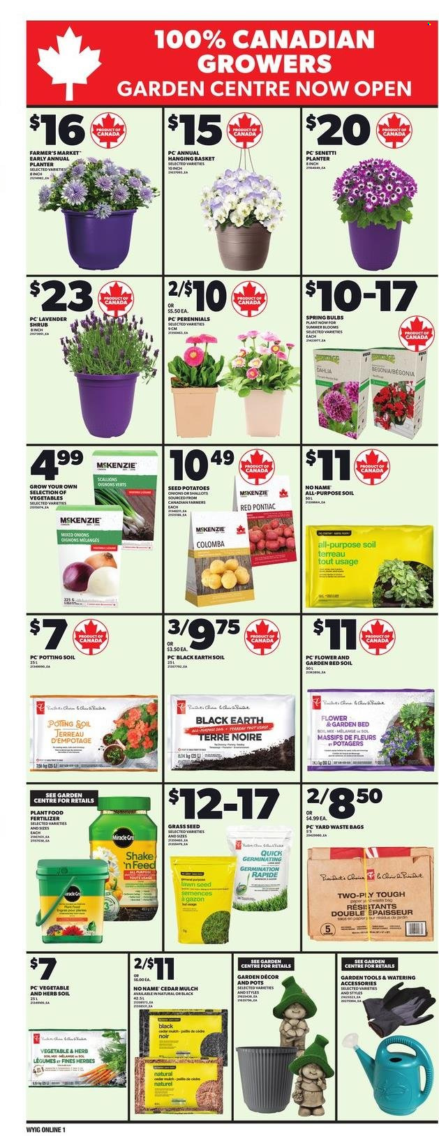 Loblaws flyer - April 24, 2025 - April 30, 2025. Page 5