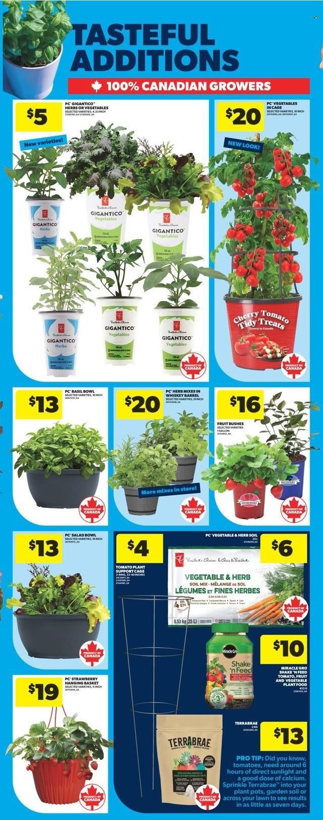 Real Canadian Superstore flyer - May 01, 2025 - May 07, 2025. Page 7