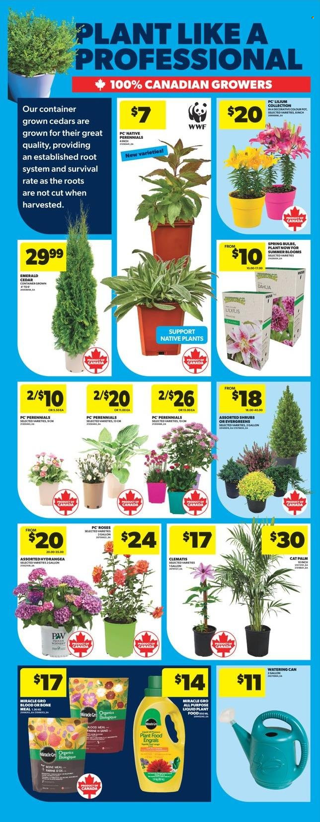 Real Canadian Superstore flyer - May 01, 2025 - May 07, 2025. Page 9