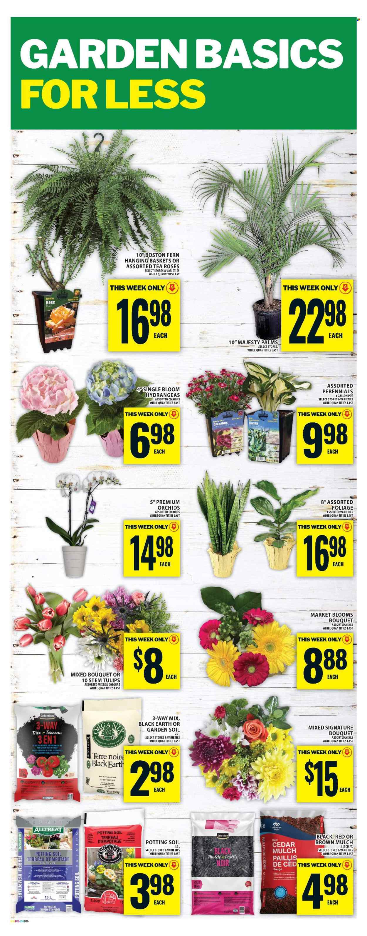 Food Basics flyer - May 01, 2025 - May 07, 2025. Page 20