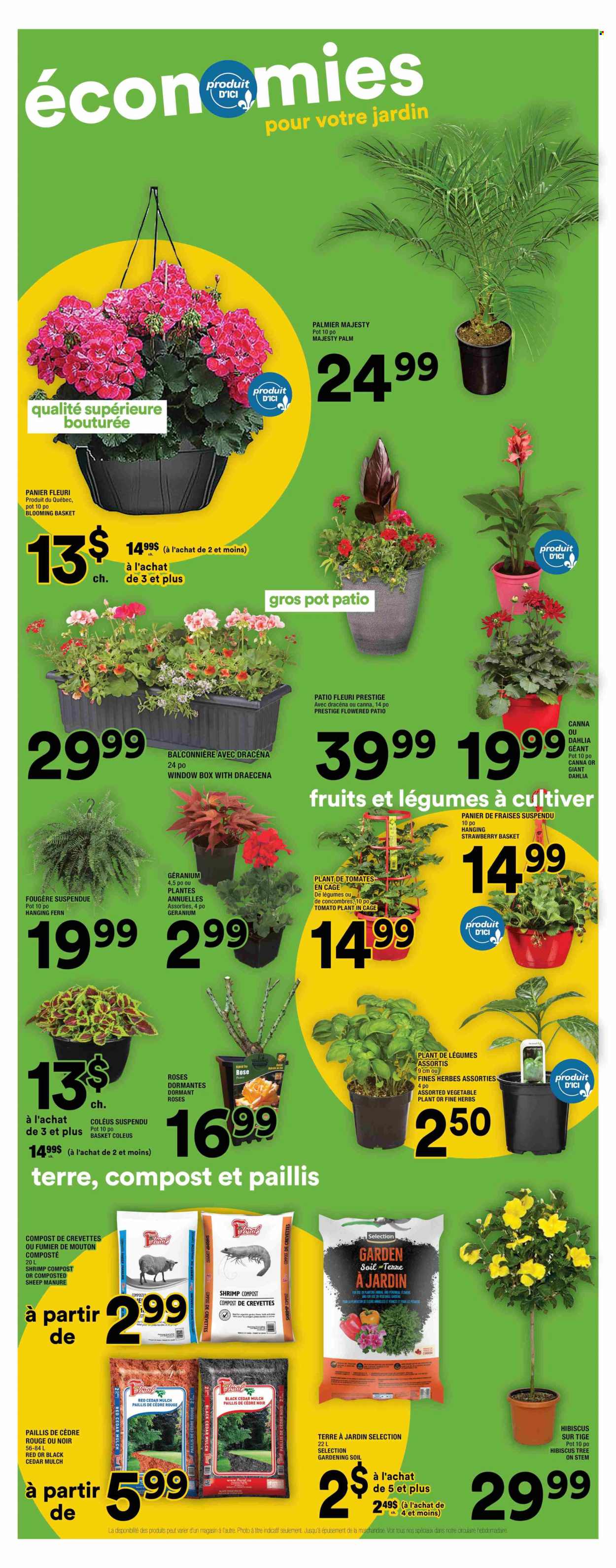 Super C flyer - May 08, 2025 - May 14, 2025. Page 14