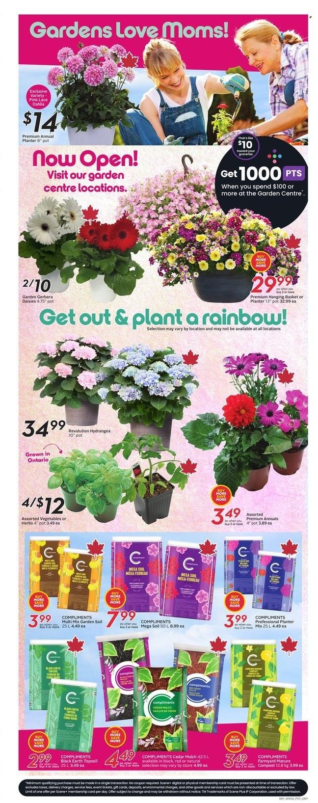 Sobeys flyer - May 08, 2025 - May 14, 2025. Page 8
