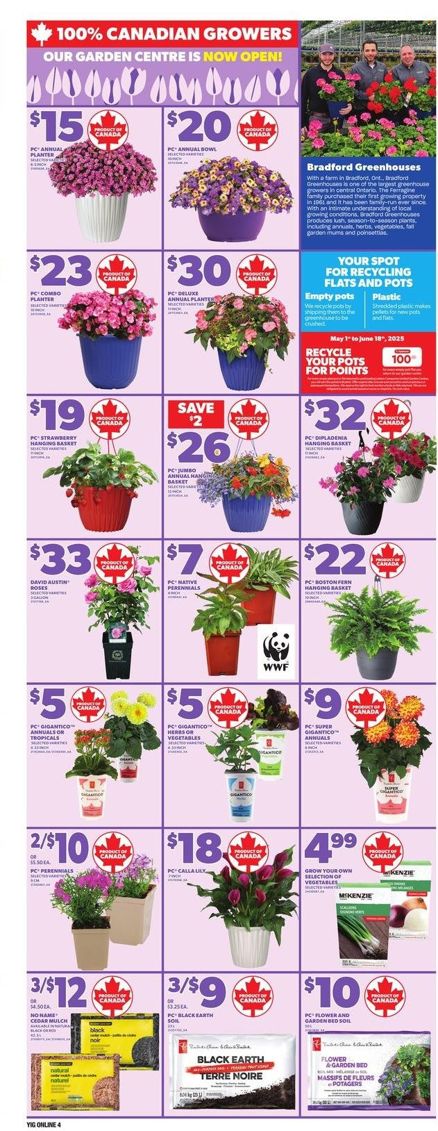 Independent flyer - May 08, 2025 - May 14, 2025. Page 8