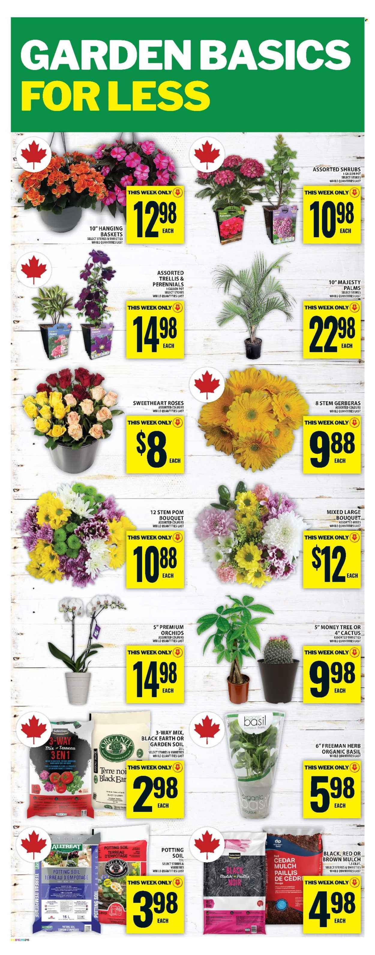 Food Basics flyer - May 15, 2025 - May 21, 2025. Page 25